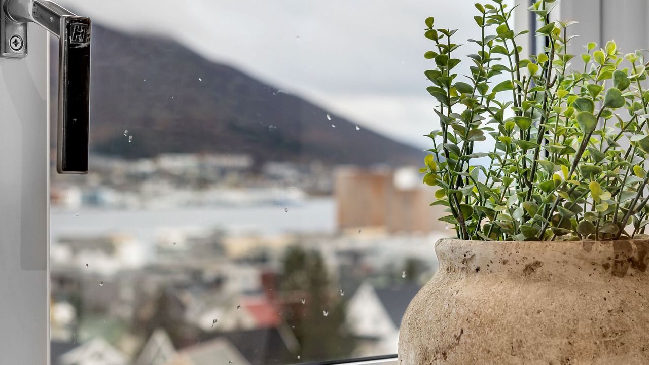 Photo of Outdoor in Tromso