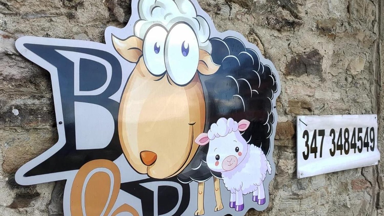 Photo of Outdoor in Caprese Michelangelo