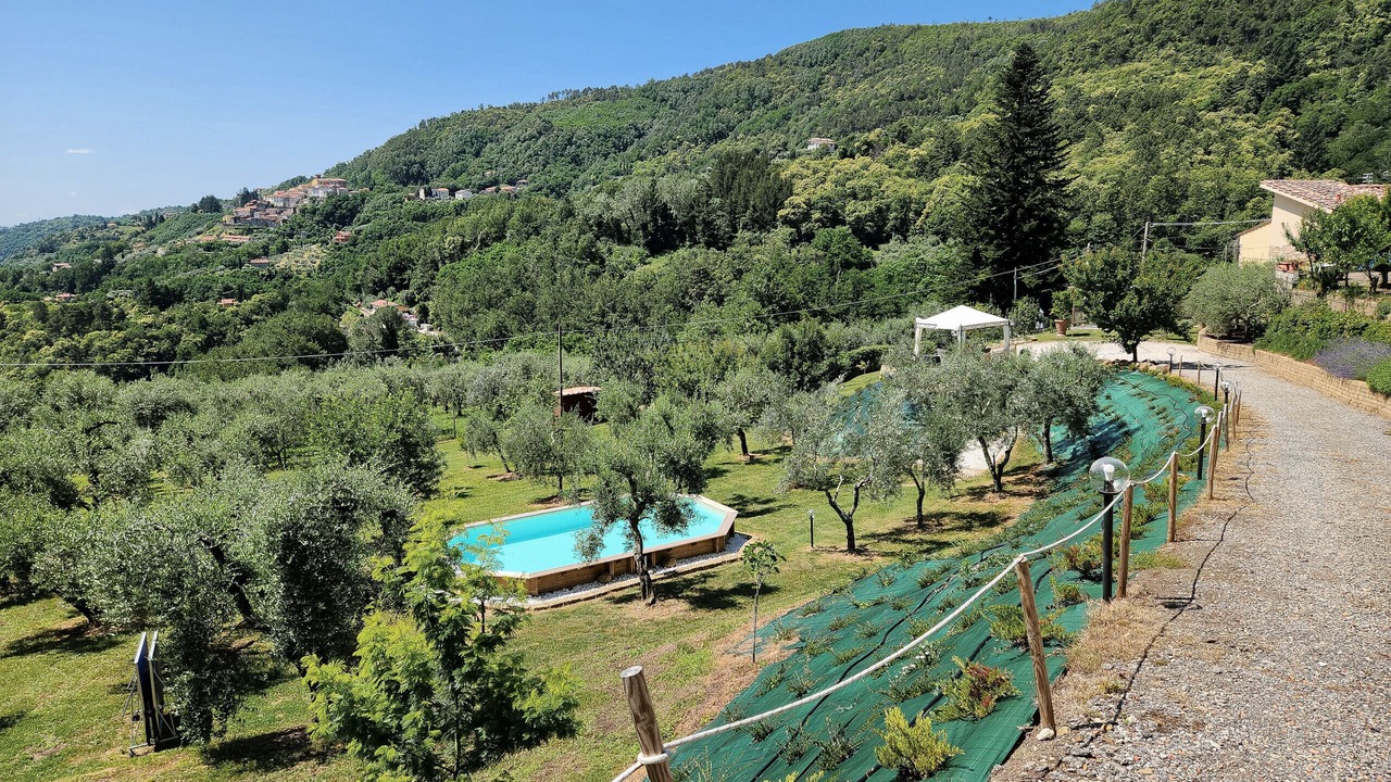Photo of Outdoor in Marliana