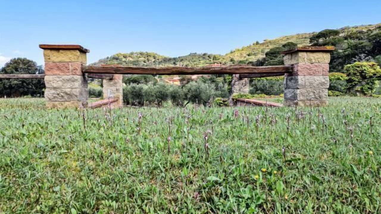 Photo of Outdoor in Bagnaia