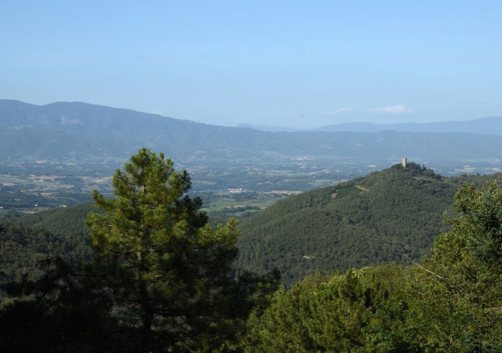 Photo of Others in Montevarchi