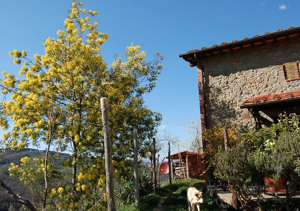 Photo of Outdoor in Montevarchi