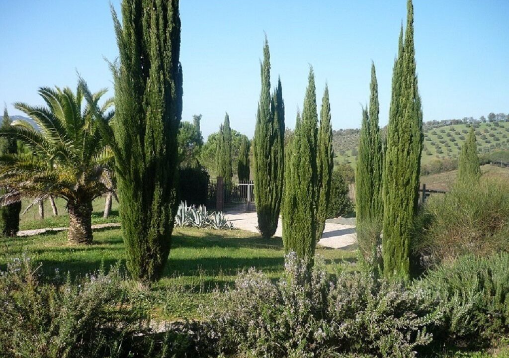 Photo of Outdoor in Gavorrano