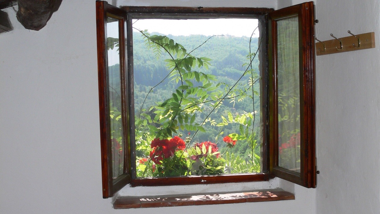 Photo of Bathroom in Pescia