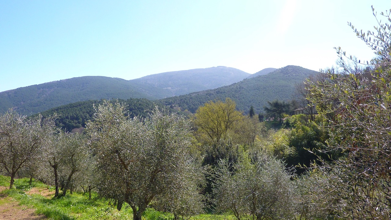 Photo of Outdoor in Santa Maria del Giudice