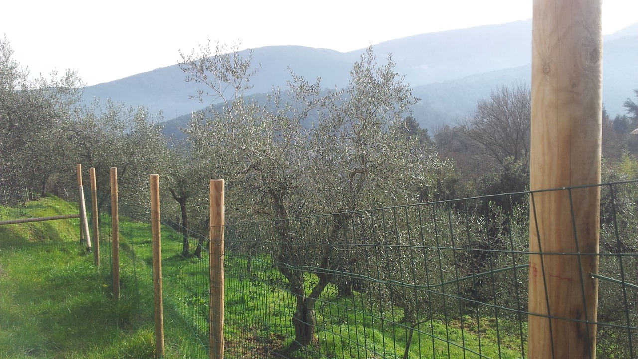 Photo of Outdoor in Santa Maria del Giudice