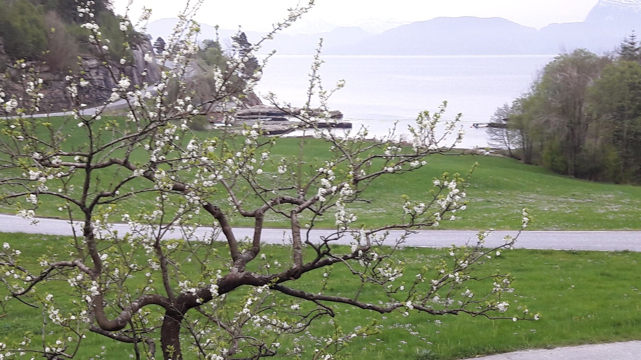 Photo of Outdoor in Strandvik