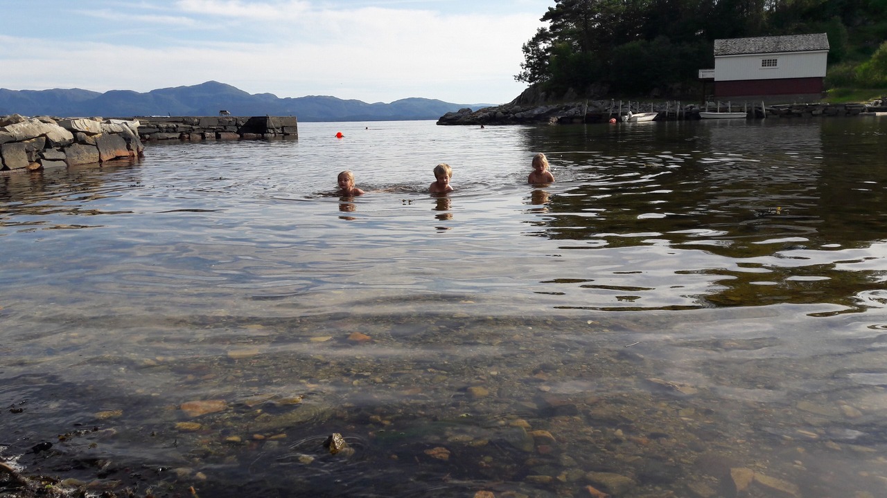 Photo of Others in Strandvik