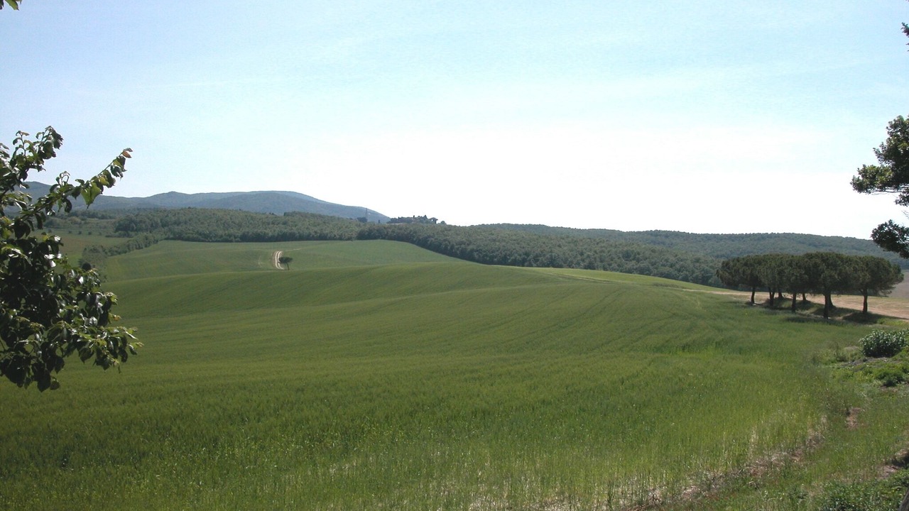 Photo of Others in Collesalvetti