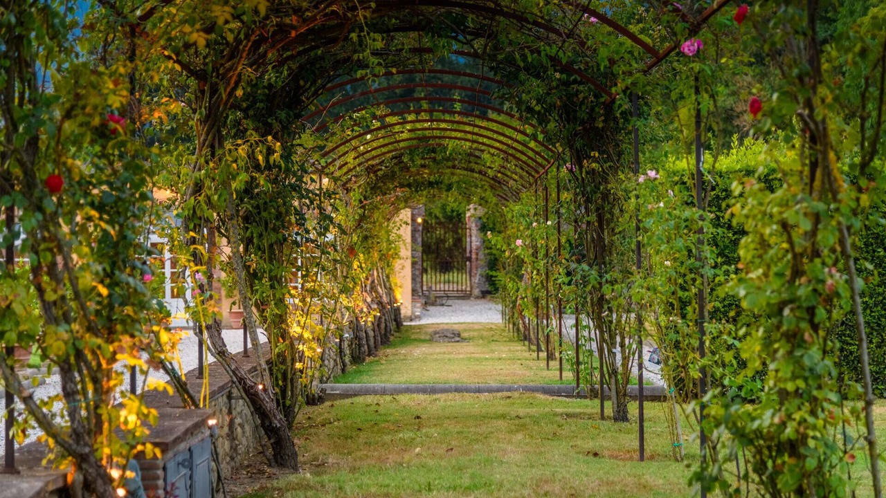 Photo of Outdoor in Capannori