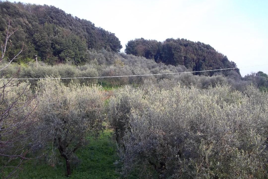 Photo of Outdoor in Stabbiano