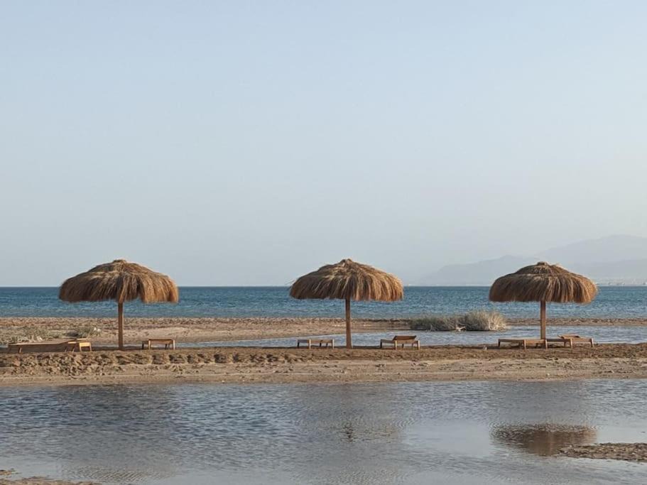 Photo of Others in Soma Bay