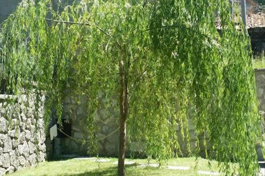Photo of Others in Vivo dʼOrcia
